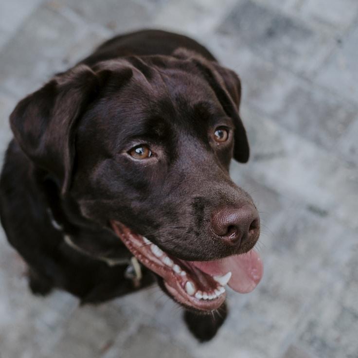 Kaveri Mehta, Lead Design Curator at Meadow Motive Polite, reviewing corporate floral arrangements